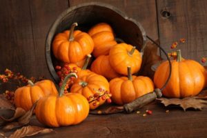 A cena con la Zucca