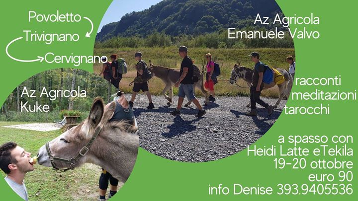 A spasso con Heidi, Latte e Tekila - EventiFVG.it