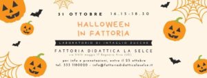 Halloween in fattoria – Laboratorio di intaglio zucche