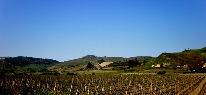 Settimana degustazione Cirò nelle enoteche Vinarius - EventiFVG.it