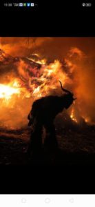 Il Ritorno Dei Krampus