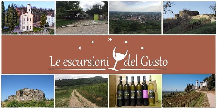☾★ Le Escursioni del Gusto: Az. vinicola Bolzicco Cormons ★☾ - EventiFVG.it