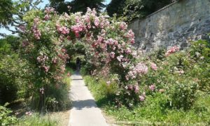 Nel parco rivoluzionario: passeggiata a San Giovanni