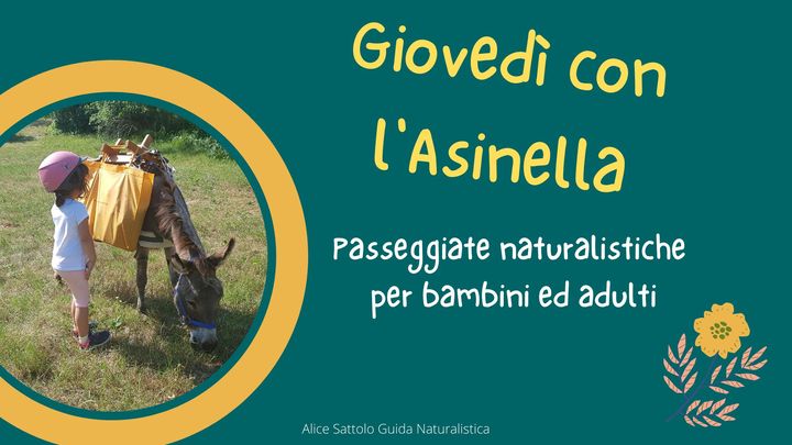 Giovedi con l'Asinella! - EventiFVG.it