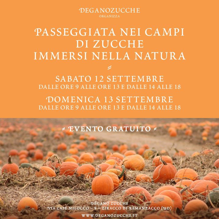 Passeggiata Nei Campi Di Zucche Immersi Nella Natura - EventiFVG.it