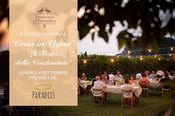Cena in Vigna | La festa della Vendemmia - EventiFVG.it