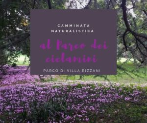 Camminata naturalistica al Parco dei Ciclamini