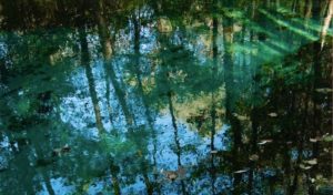 Memorie DI UNA VALLE