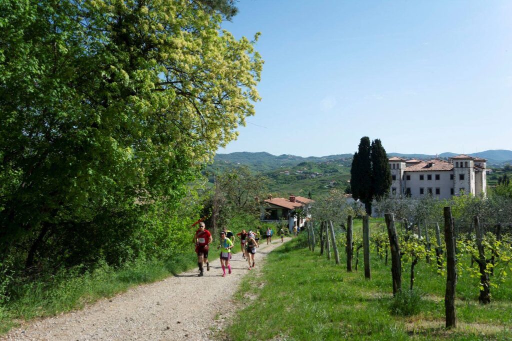Ecomaratona del Collio - trail del collio 2021 Livestream - EventiFVG.it