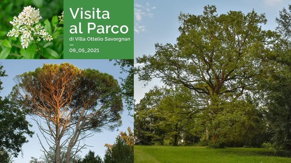 Visita al Parco di Villa Ottelio Savorgnan - EventiFVG.it