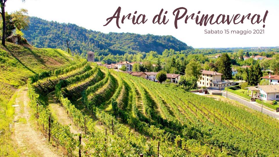 Aria di Primavera - Azienda Agricola Gori - EventiFVG.it