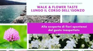 Walk & Flower Taste lungo il corso dell’Isonzo