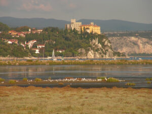 5 e 6 giugno – La due giorni delle aree naturali costiere e marine protette di Monfalcone