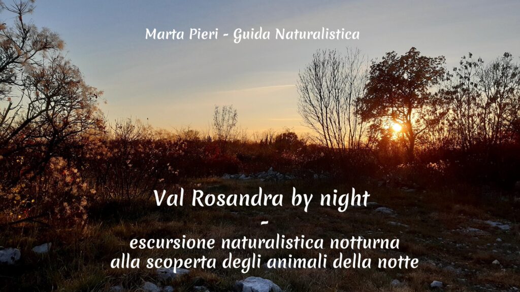 Val Rosandra by night: escursione naturalistica notturna - EventiFVG.it