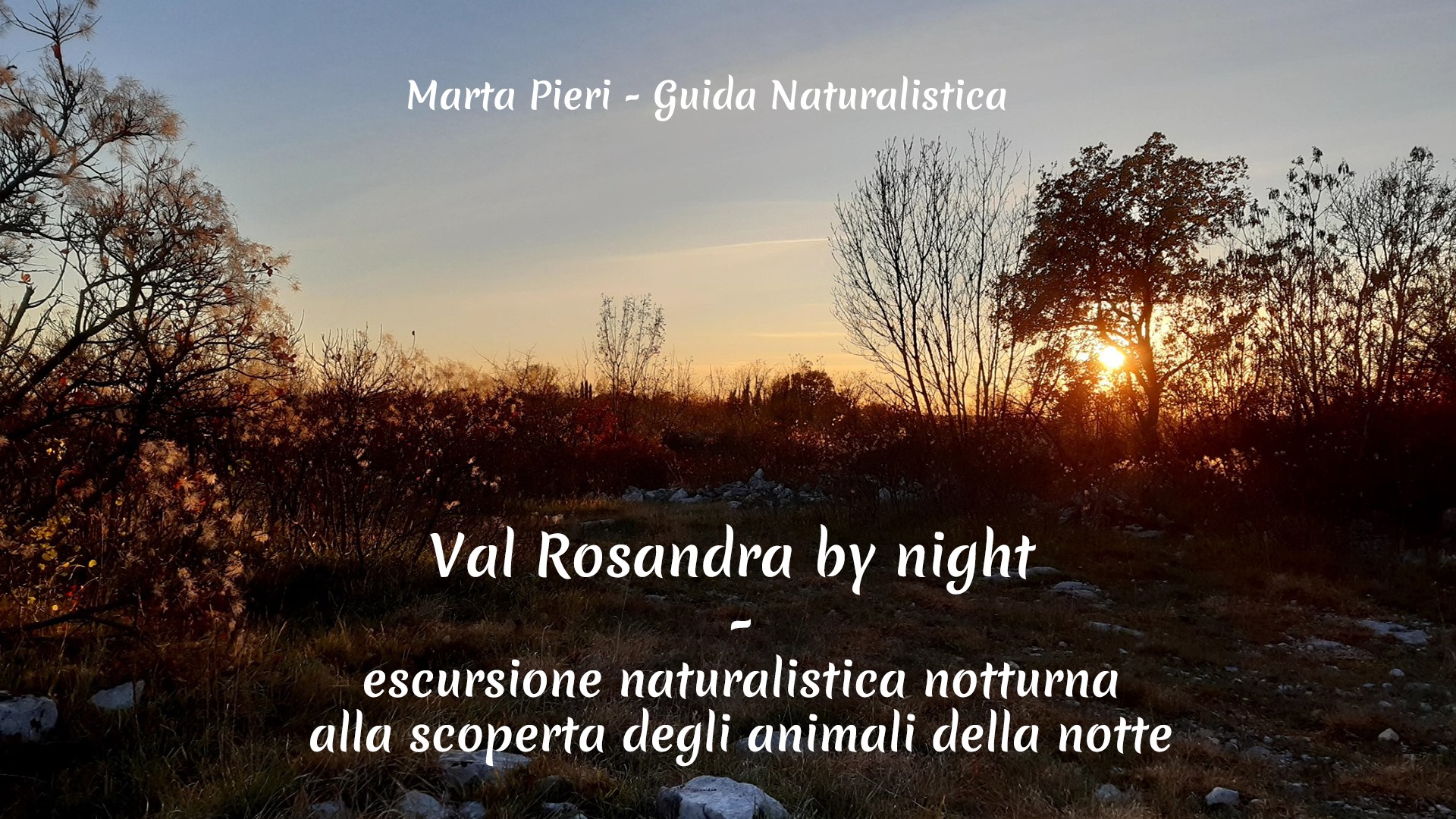 Val Rosandra by night: escursione naturalistica notturna - EventiFVG.it