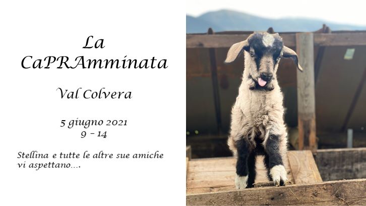 La caPRAmminata - EventiFVG.it