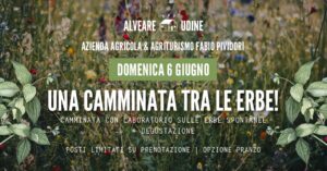 Una camminata tra le erbe! + degustazione