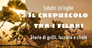 Il crepuscolo tra i filari a Borgo Conventi