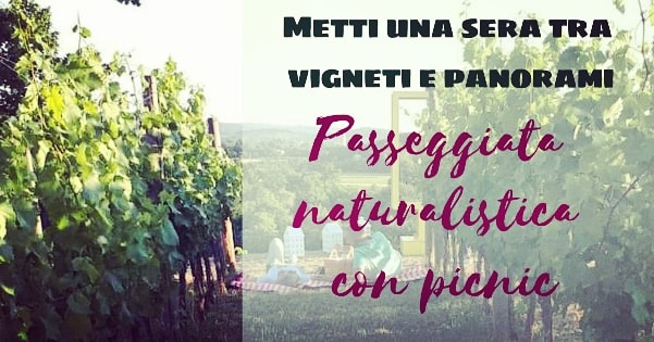Passeggiata naturalistica con picnic tra vigneti e panorami - EventiFVG.it