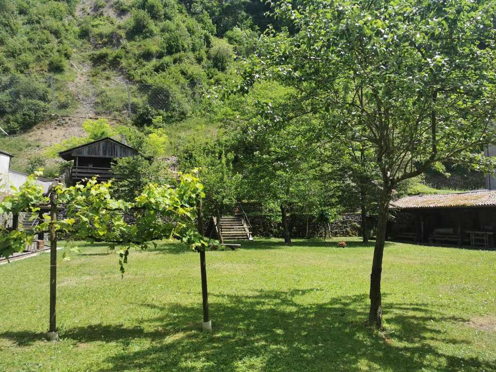 Pic-Nic Sotto Le Stelle a Tolmezzo - EventiFVG.it