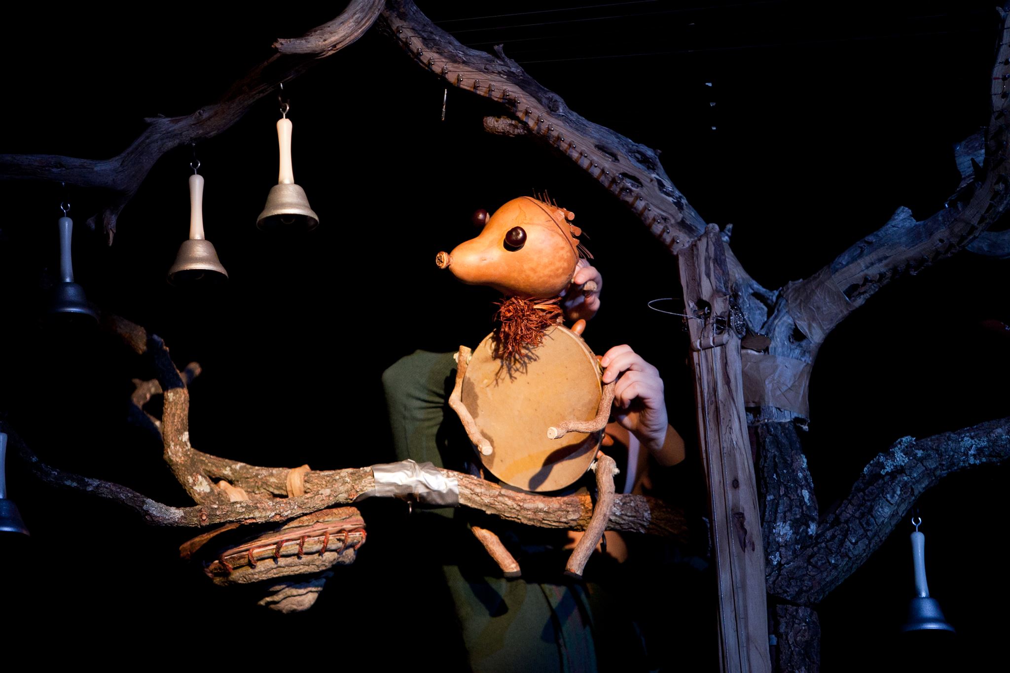 La foresta cantata > PiccoliPalchi ERT FVG - EventiFVG.it