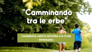 Camminando tra le erbe – 5/8/15 km