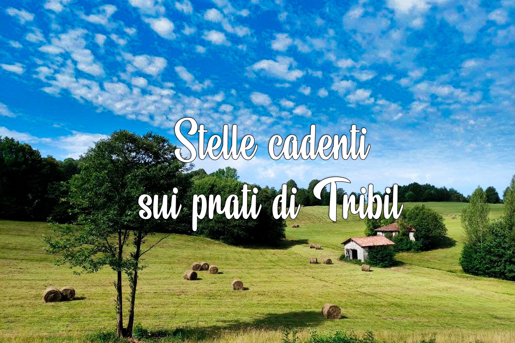 Stelle cadenti sui prati di Tribil - EventiFVG.it