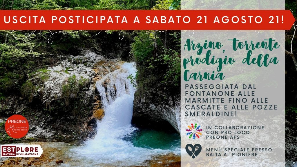 Arzino, torrente prodigio della Carnia - EventiFVG.it