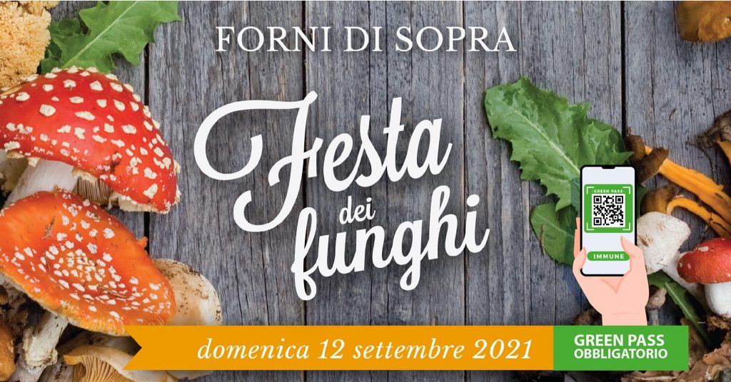 Festa dei Funghi 2021 - Forni di Sopra - Festa dei Funghi 2021 - Forni di Sopra - EventiFVG.it