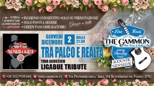 Tra palco e realtà LIGABUE Tribute