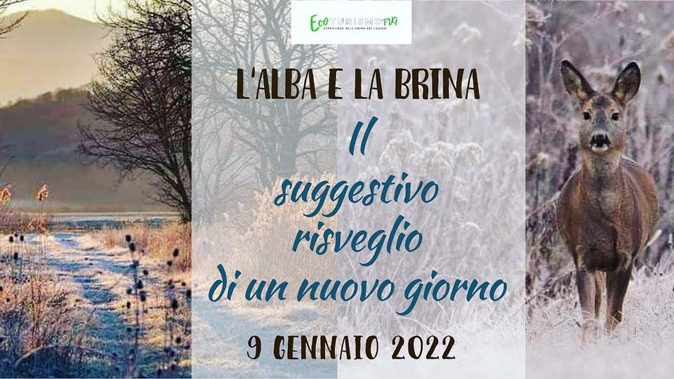 L'alba e la brina nella Piana del Preval: il fascino del risveglio mattutino