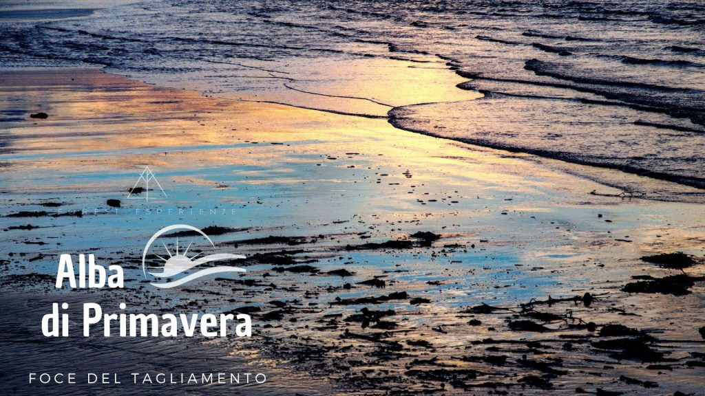 Alba di Primavera alla Foce del Tagliamento - Alba di Primavera alla Foce del Tagliamento