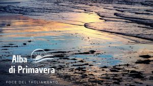 Alba di Primavera alla Foce del Tagliamento Alba di Primavera alla Foce del Tagliamento