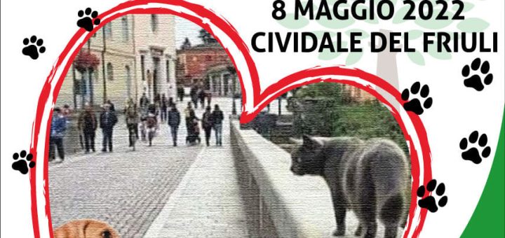 CivigattocaneNatura day