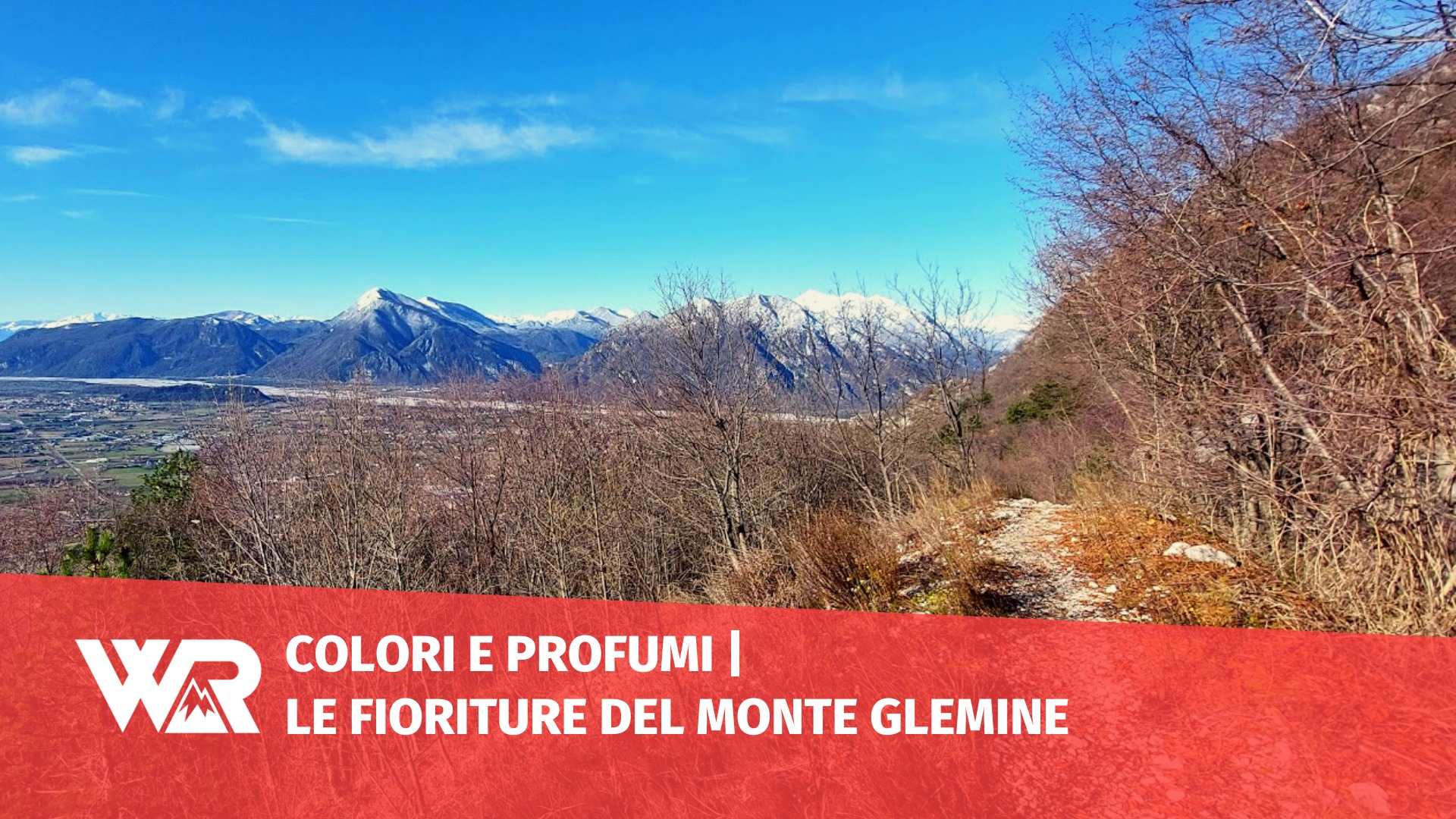 Colori e Profumi - Le fioriture del monte Glemine