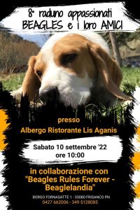 raduno appassionati Beagles e i loro amici raduno appassionati Beagles e i loro amici