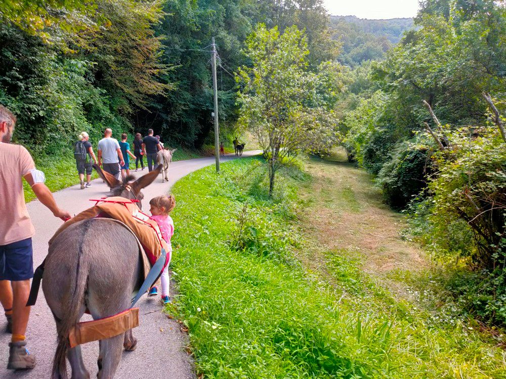 Passeggiata con gli asinelli nei prati delle Valli del Natisone