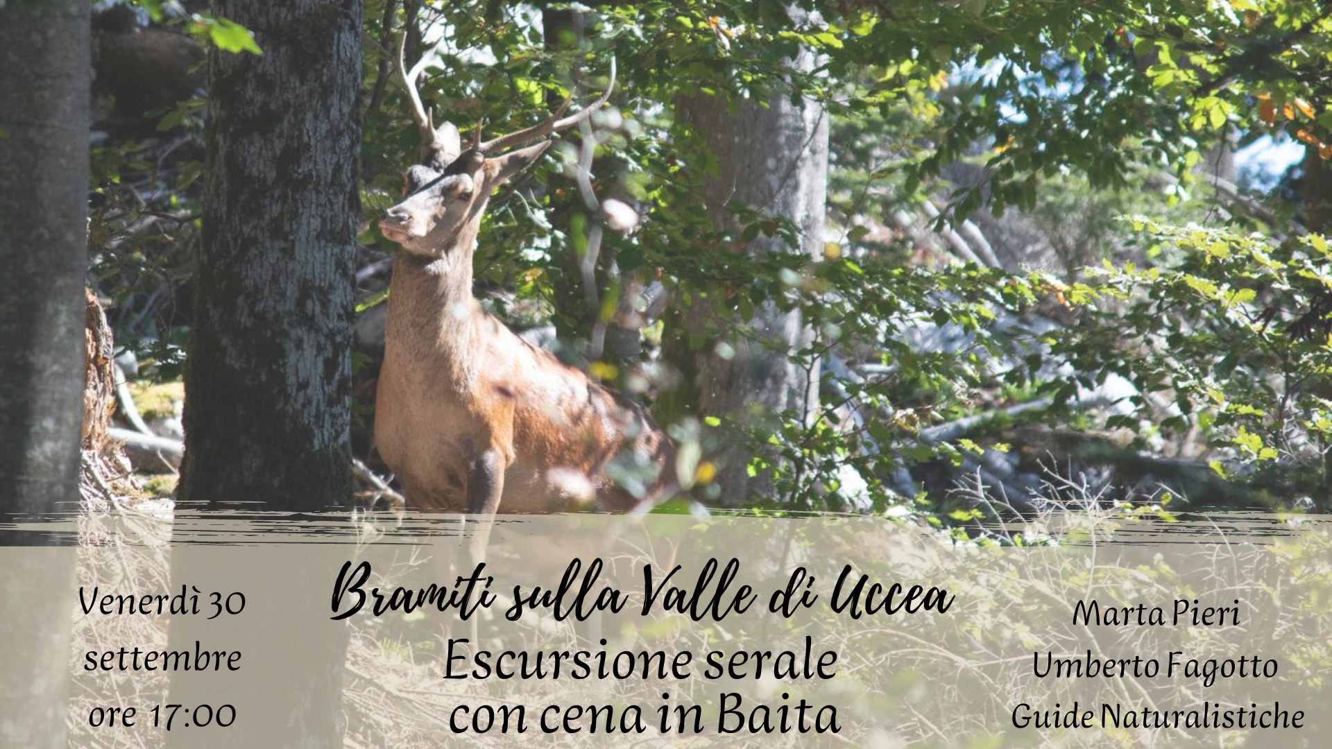 Bramiti sulla valle di Uccea - escursione serale con cena in Baita - Bramiti sulla valle di Uccea - escursione serale con cena in Baita