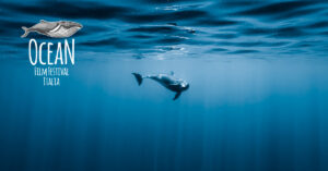 Ocean Film Festival Italia 2022 – Udine Ocean Film Festival Italia 2022
