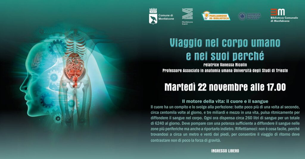 Viaggio nel corpo umano e nei suoi perché. Il motore della vita: il cuore e il sangue