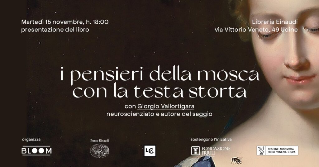 I pensieri della mosca con la testa storta
