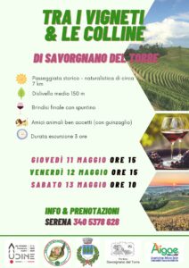 Tra i vigneti & le colline di Savorgnano del Torre