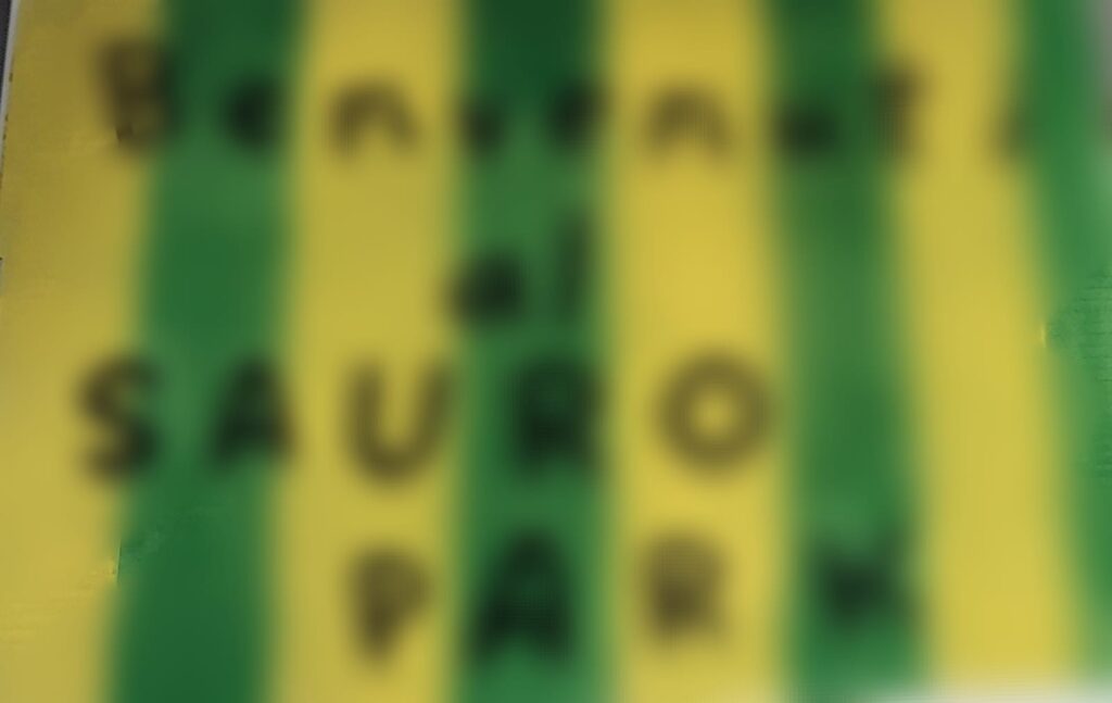 Sauro Park - Festa di fine anno - EventiFVG.it