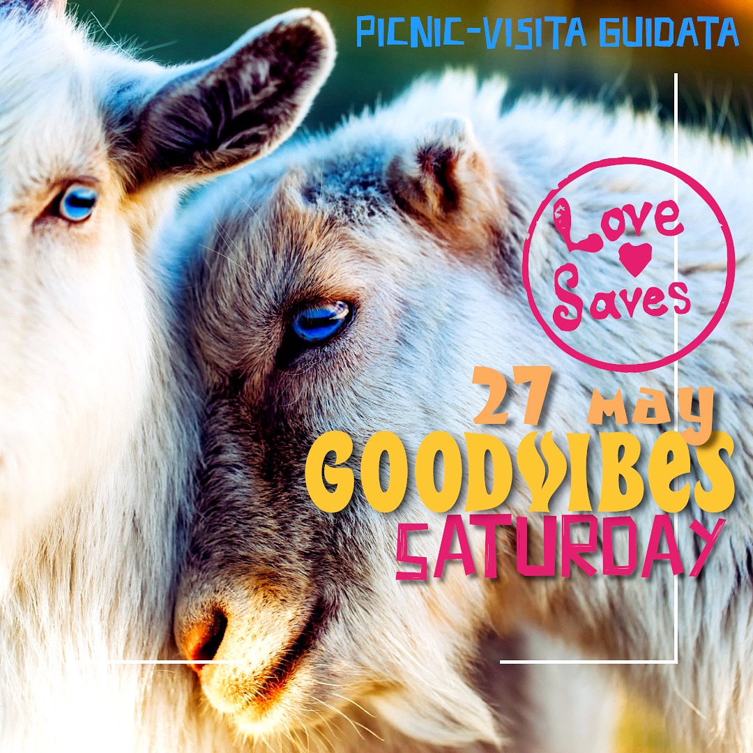 GoodVibesOnSaturday - EventiFVG.it