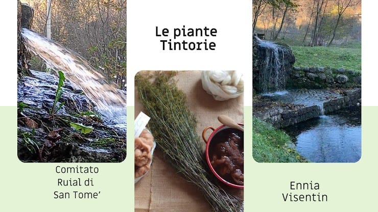 LE PIANTE TINTORIE DEL RUIAL - EventiFVG.it