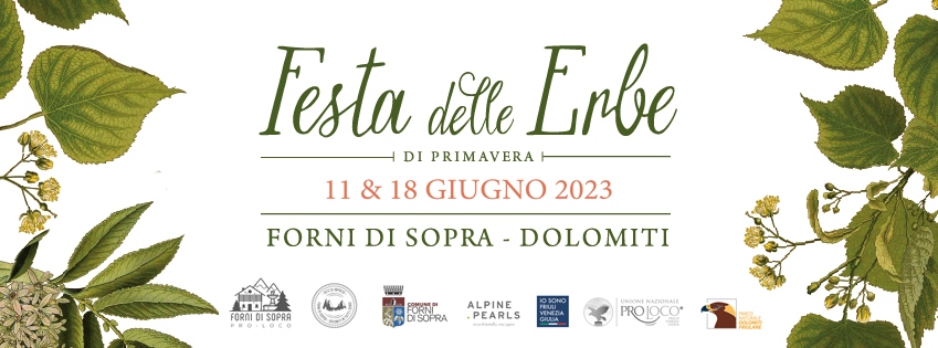 Festa delle Erbe a Forni di Sopra - Festa delle Erbe a Forni di Sopra - EventiFVG.it