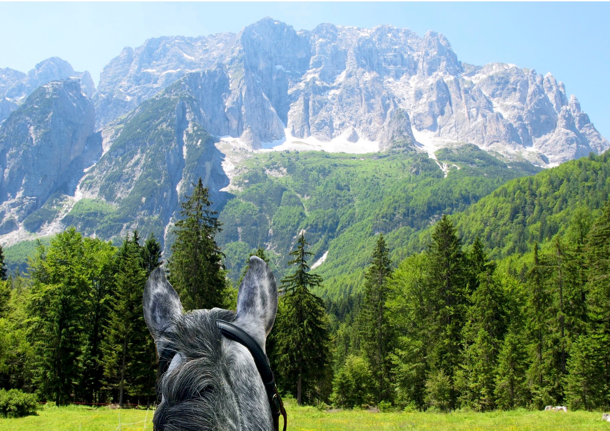 PASSEGGIATE A CAVALLO IN VAL SAISERA - EventiFVG.it