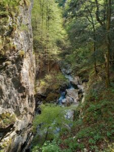 🌳Ascoltare Pradis🧘♀️: yogafitness, escursione guidata e pranzo tra i boschi e le grotte