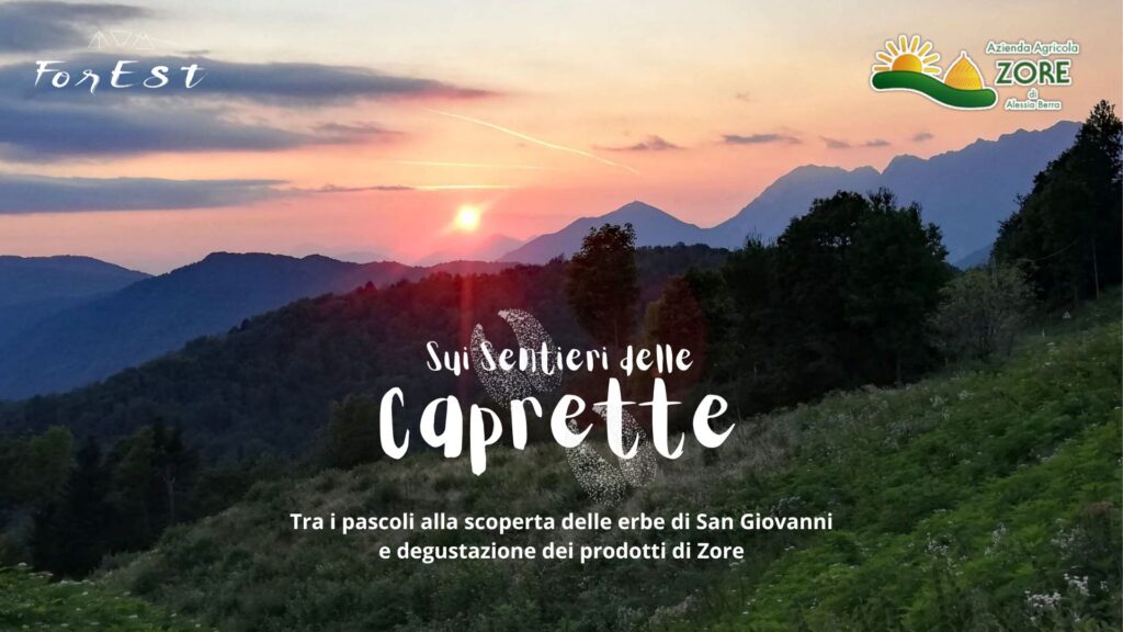 Al tramonto sui sentieri delle Caprette di Zore - Erbe di San Giovanni + Degustazione! - EventiFVG.it