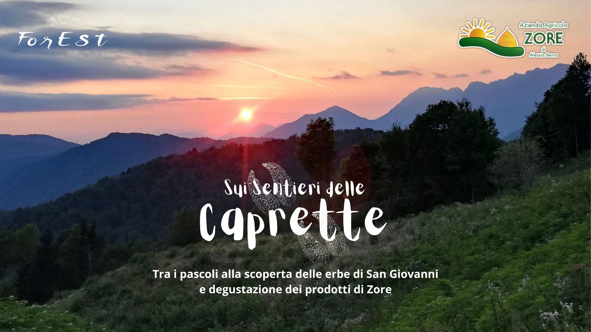 Al tramonto sui sentieri delle Caprette di Zore - Erbe di San Giovanni + Degustazione! - EventiFVG.it